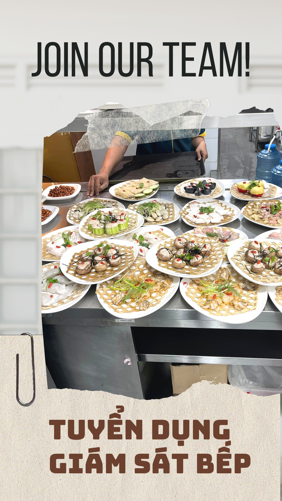 lĩnh vực hoạt động